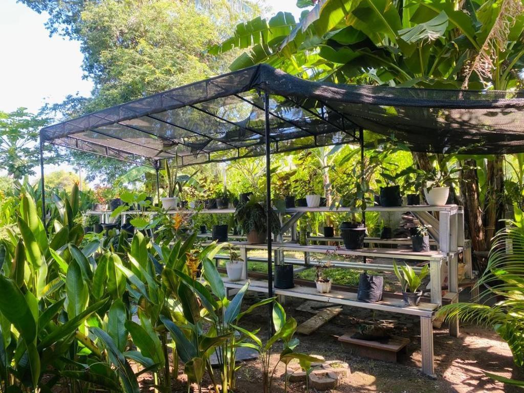 Hotel Al-Shifa Healing House Lombok Gili Air Zewnętrze zdjęcie