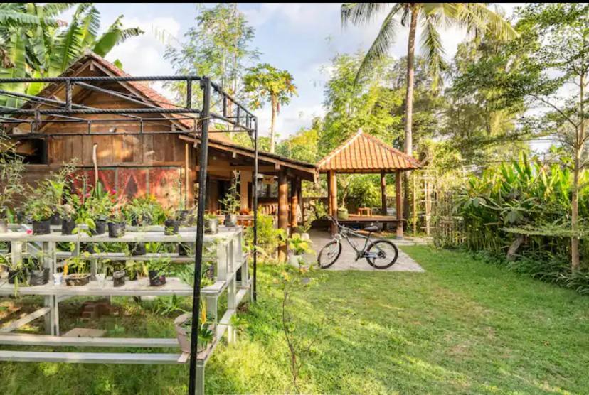 Hotel Al-Shifa Healing House Lombok Gili Air Zewnętrze zdjęcie